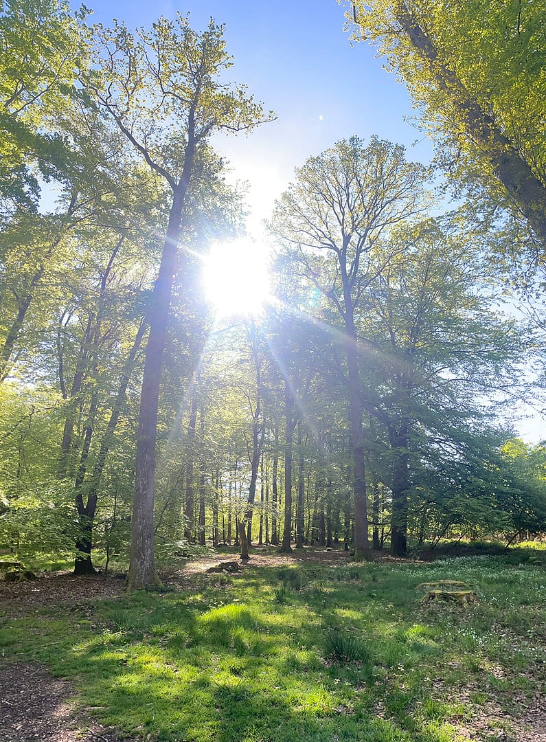 systemisches-coaching by Susanne JUCHEM coaching